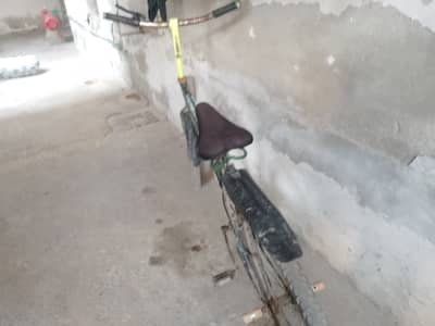 Big size cycle