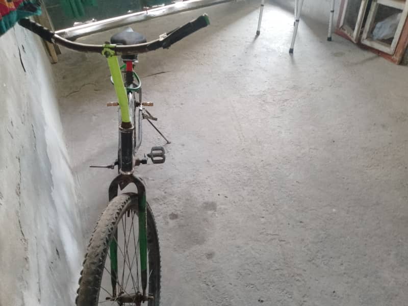 Big size cycle 1