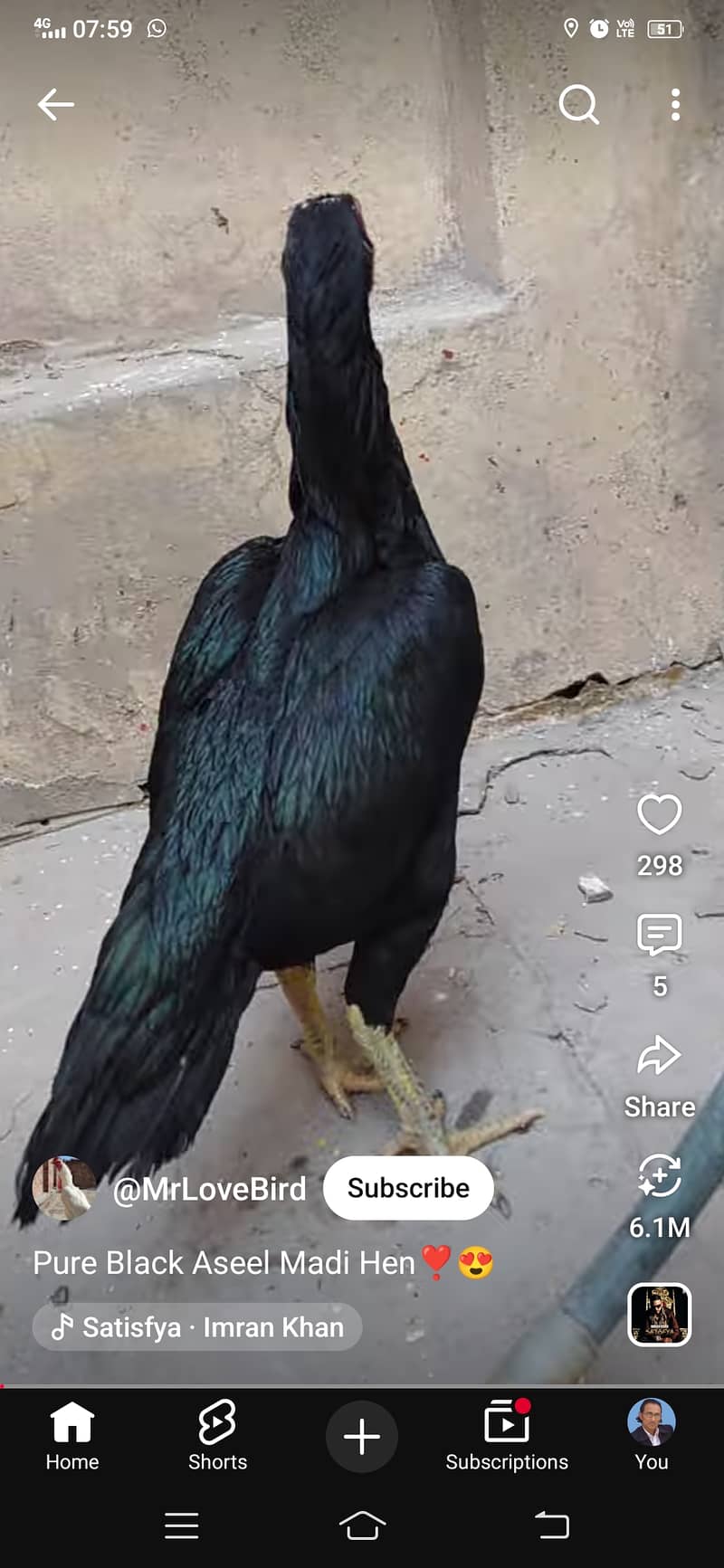 Full black 1
