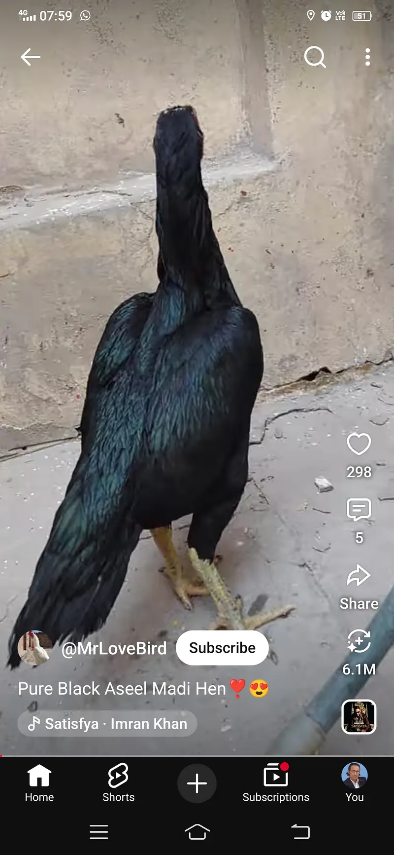 Full black — photo 2