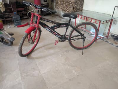 By Cycle