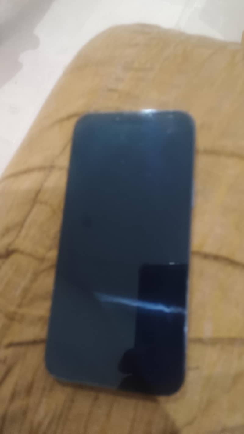 Apple iPhone 13 Pro Max 1