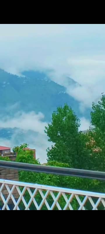 1290 Square Yards House For rent In The Perfect Location Of Patriata