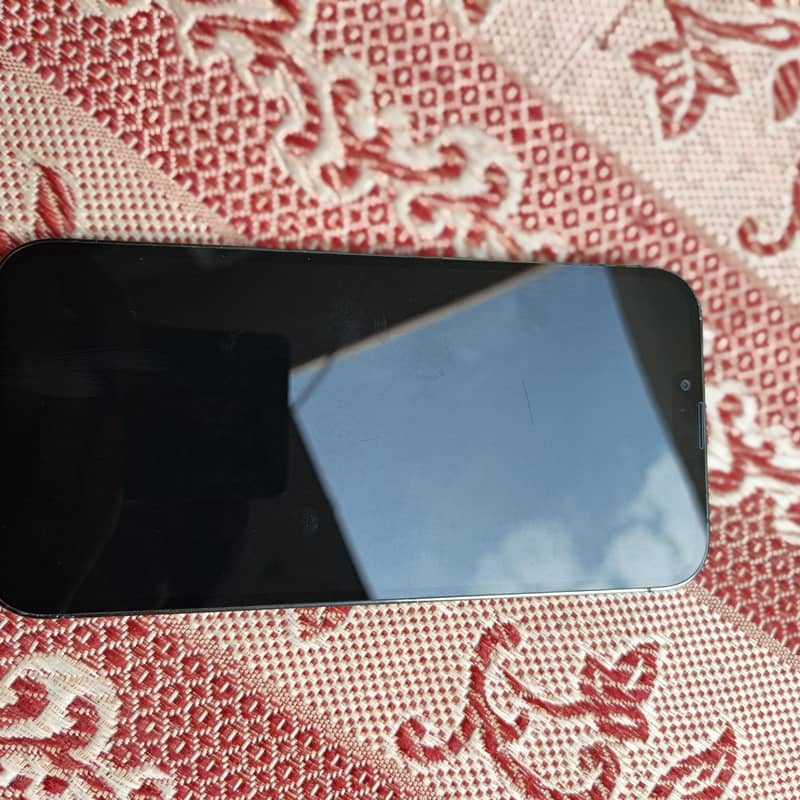Apple iPhone 13 Pro Max 5
