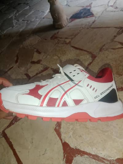Asics Cricket Grippers Shoes 43 size 9 size