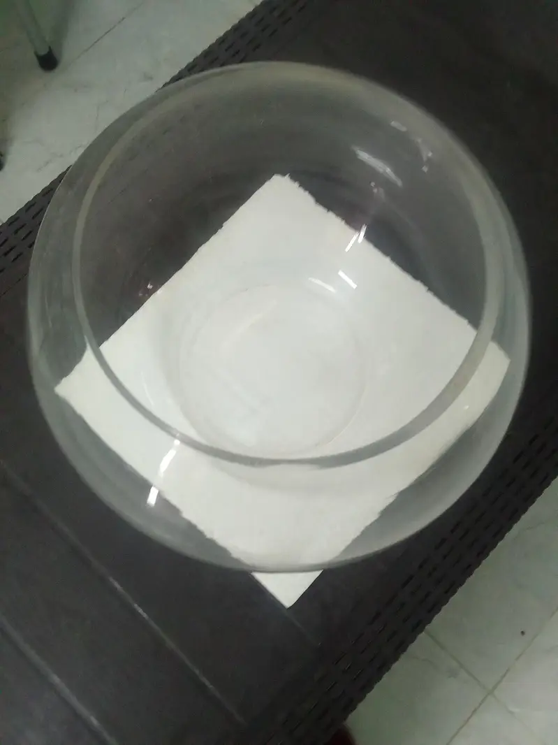 Imported Fish Bowl — photo 3