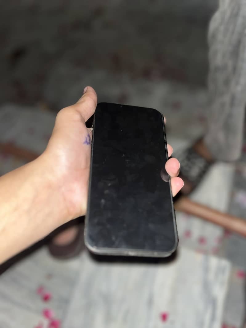 Apple iPhone 13 Pro Max 0