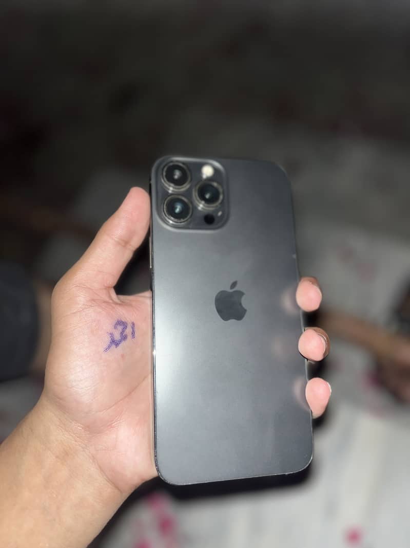 Apple iPhone 13 Pro Max 1