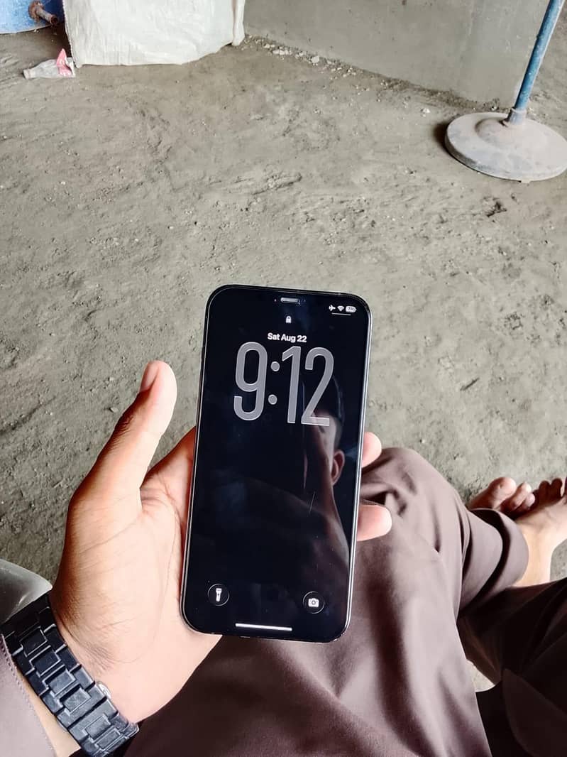 Apple iPhone 12 Pro Max 2