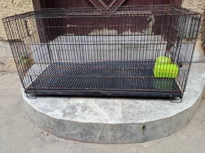 Parrot Cage | Hen Cage | Aseel Cage | Flying Cage