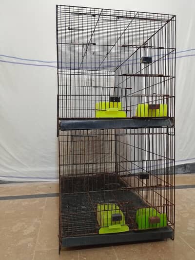 Parrot Cage | Hen Cage | Aseel Cage| Cat Cage| Tame Bird Cage