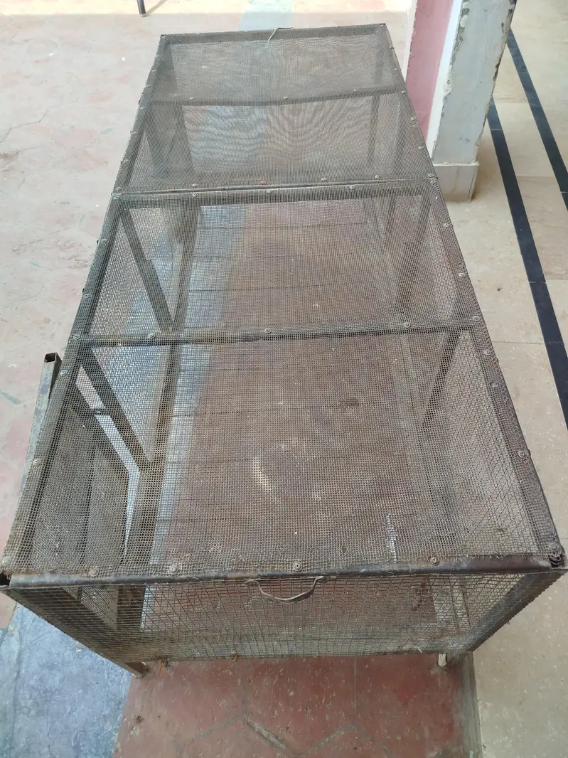 cage for birds and rabbits 03075121639 — photo 2
