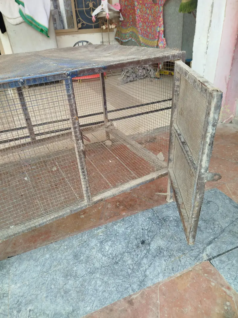 cage for birds and rabbits 03075121639 — photo 4