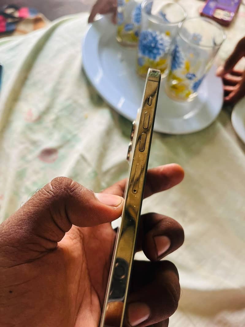 Apple iPhone 13 Pro Max 1