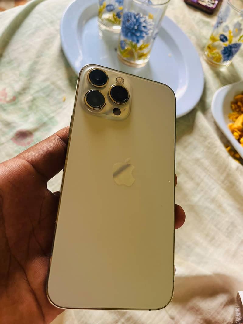 Apple iPhone 13 Pro Max 2