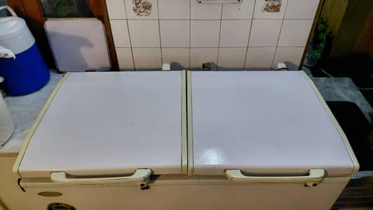 waves deep freezer