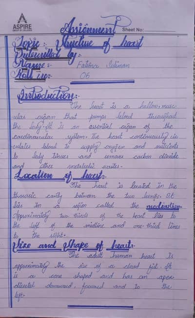 Affordable handwritten and typed assignments Quality work