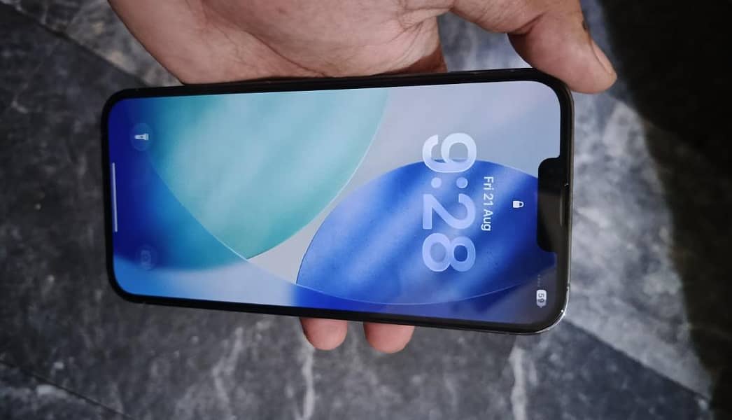 Apple iPhone 13 Pro Max 1