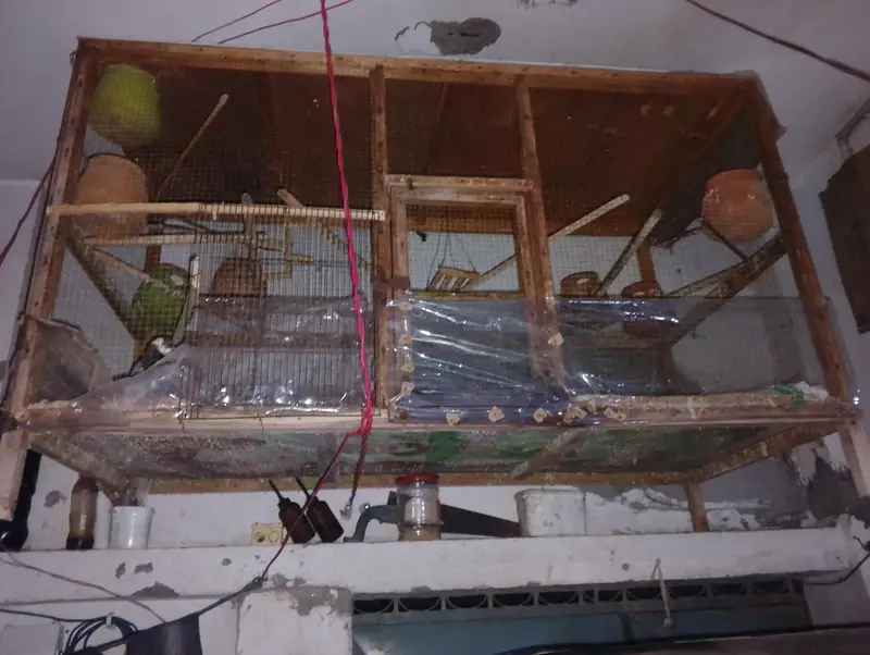 wooden cage Big size