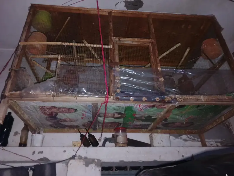 wooden cage Big size — photo 2