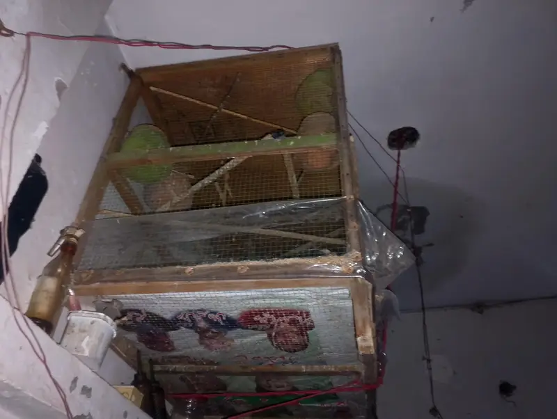 wooden cage Big size — photo 3