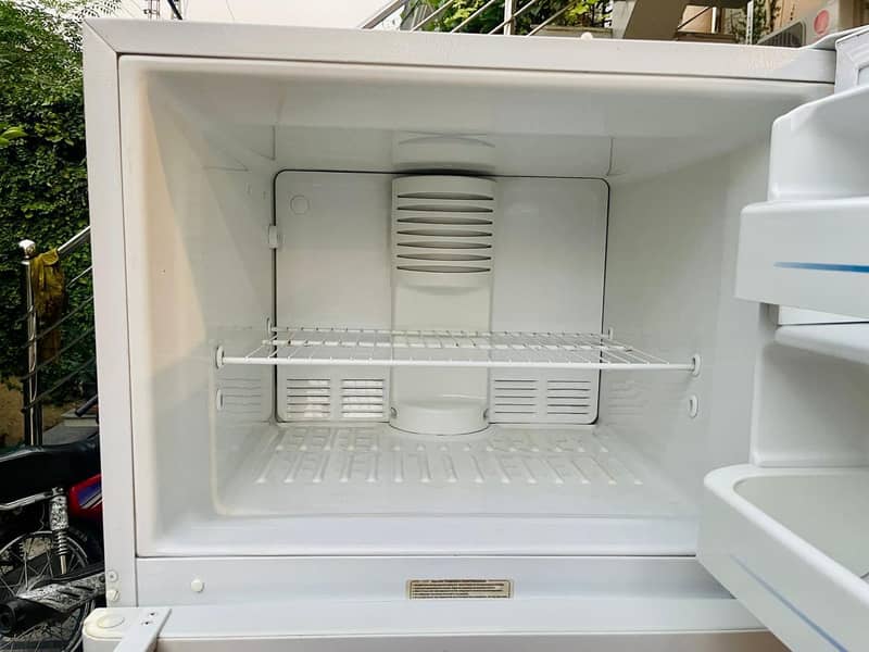 fridge 12