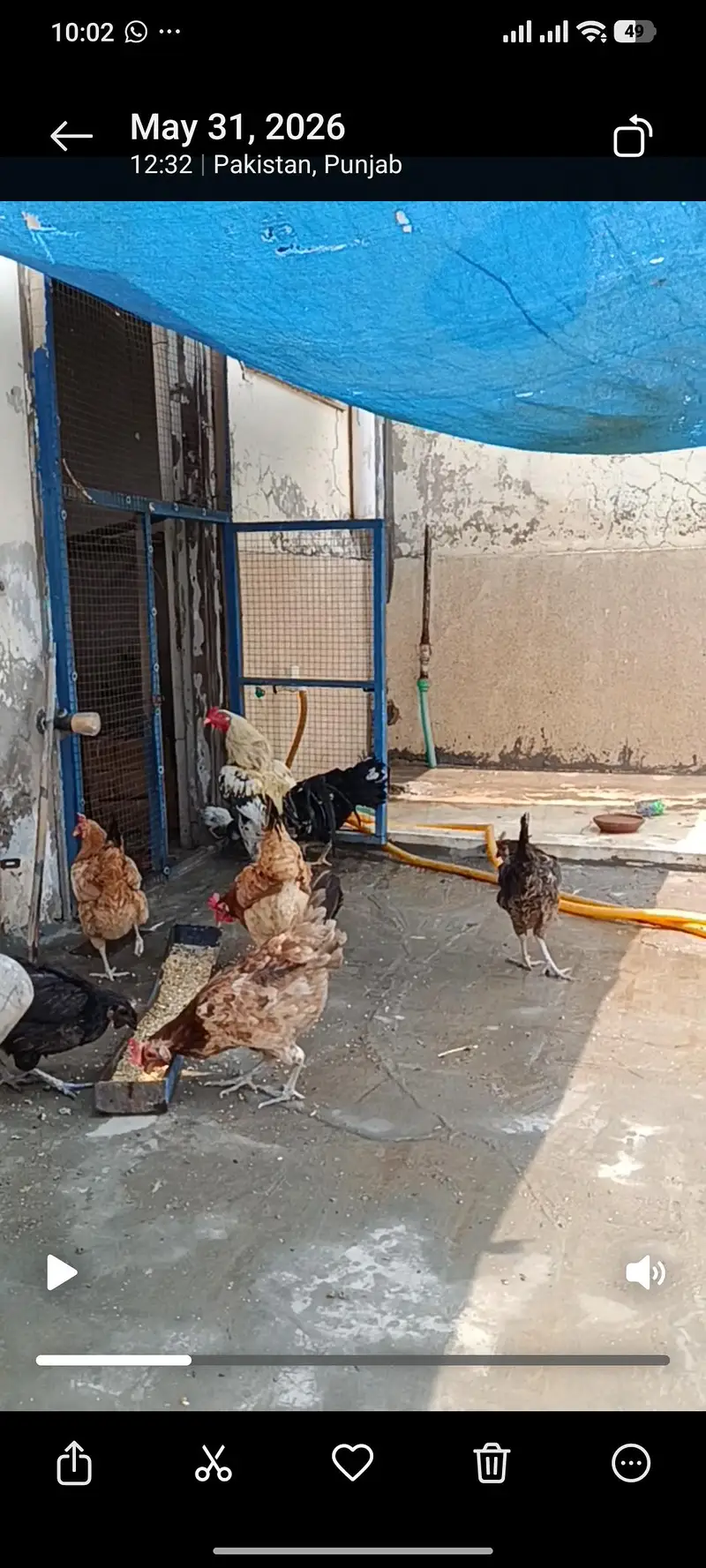 Ghar ki palli Hain anda bhi datti hain — photo 4