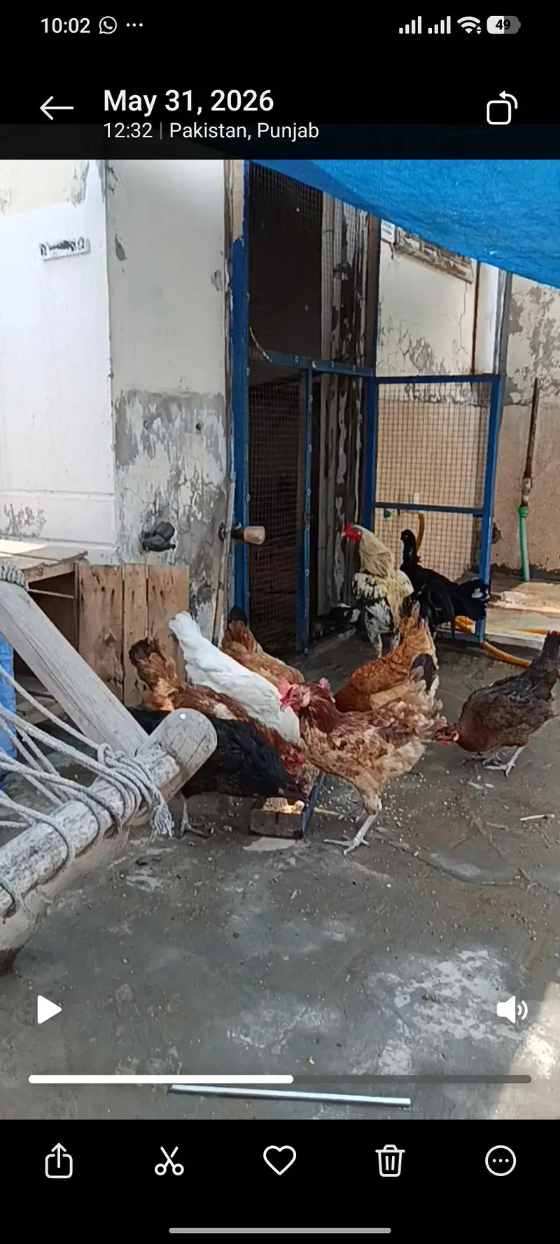 Ghar ki palli Hain anda bhi datti hain — photo 5