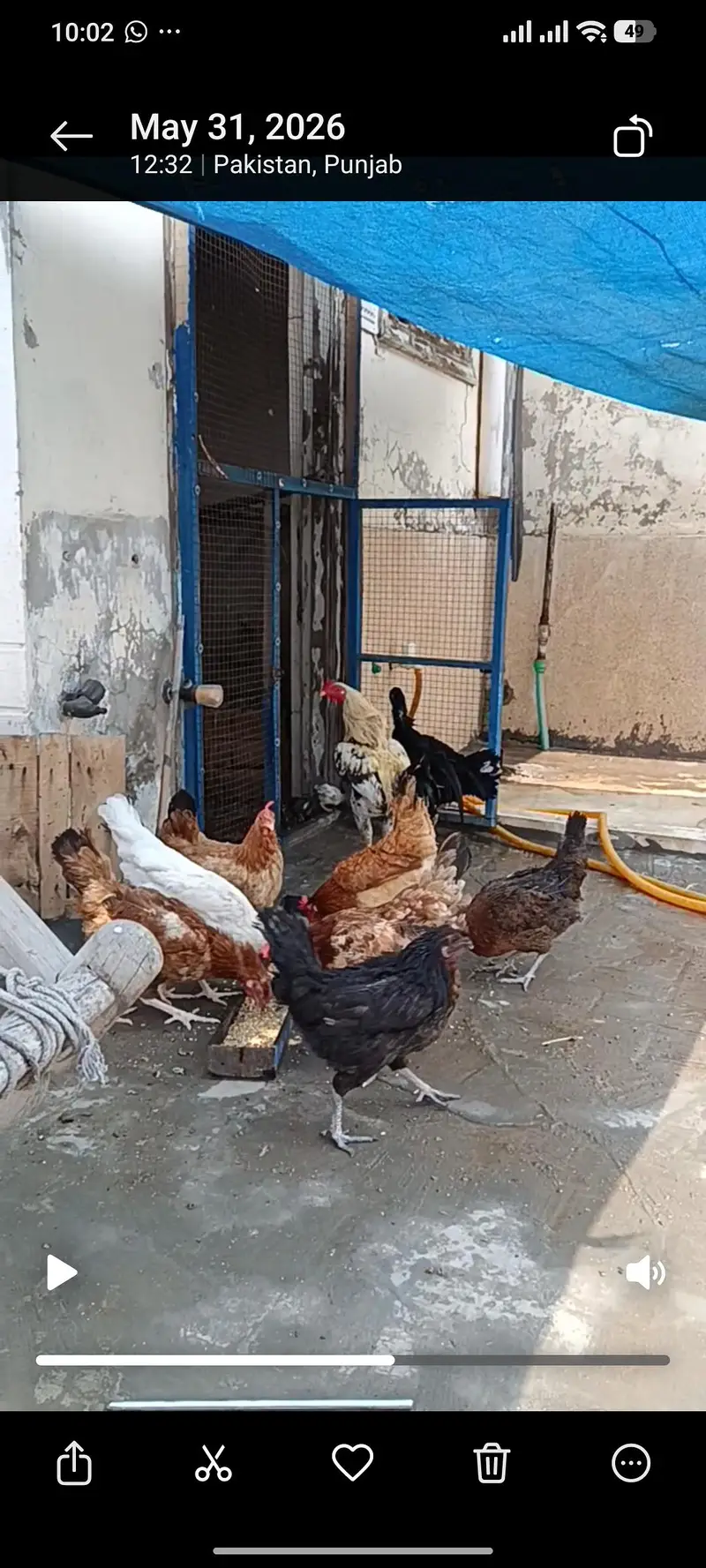 Ghar ki palli Hain anda bhi datti hain — photo 6