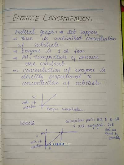 Custom Handwritten Assignments | High Quality | Original Work