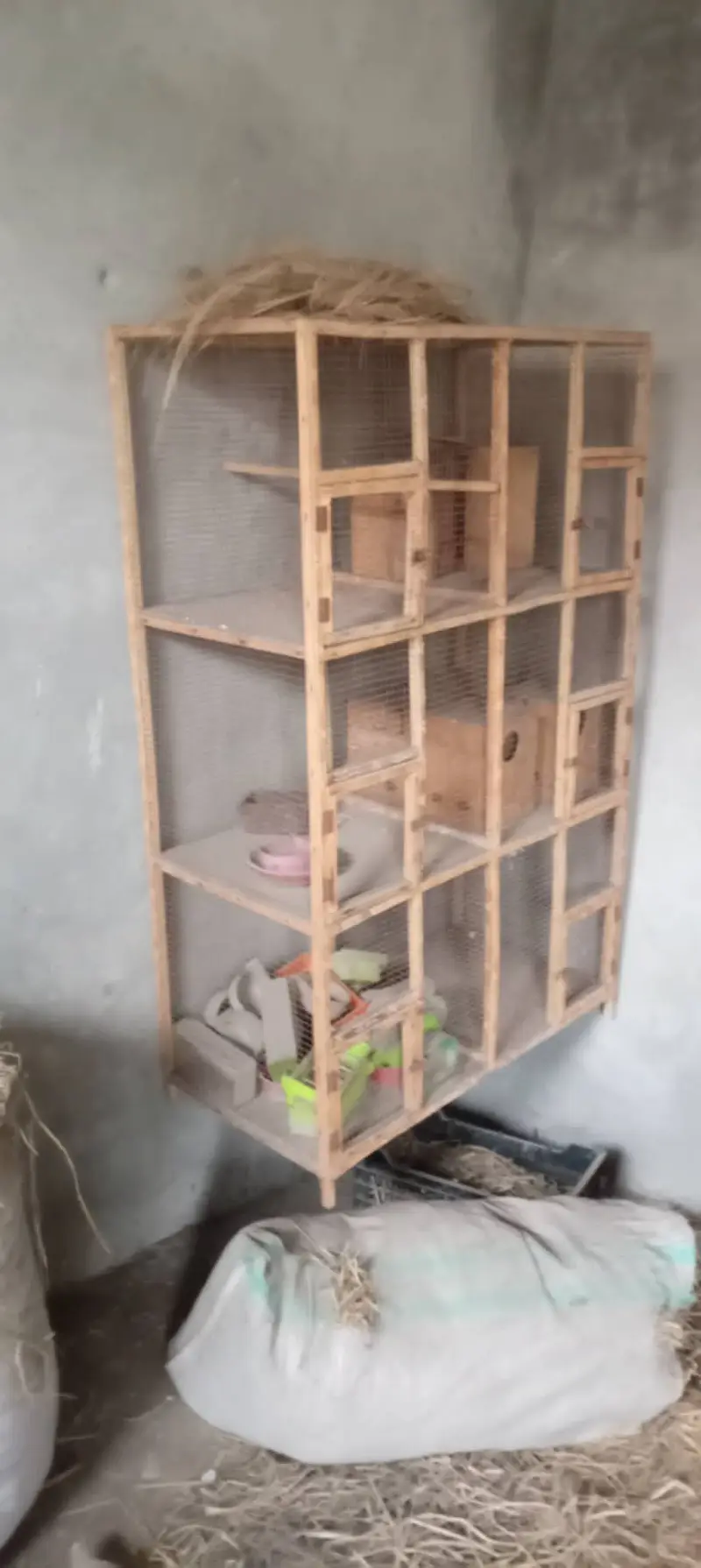 6 Portion wooden cage - 10 Breeding Boxes — photo 2