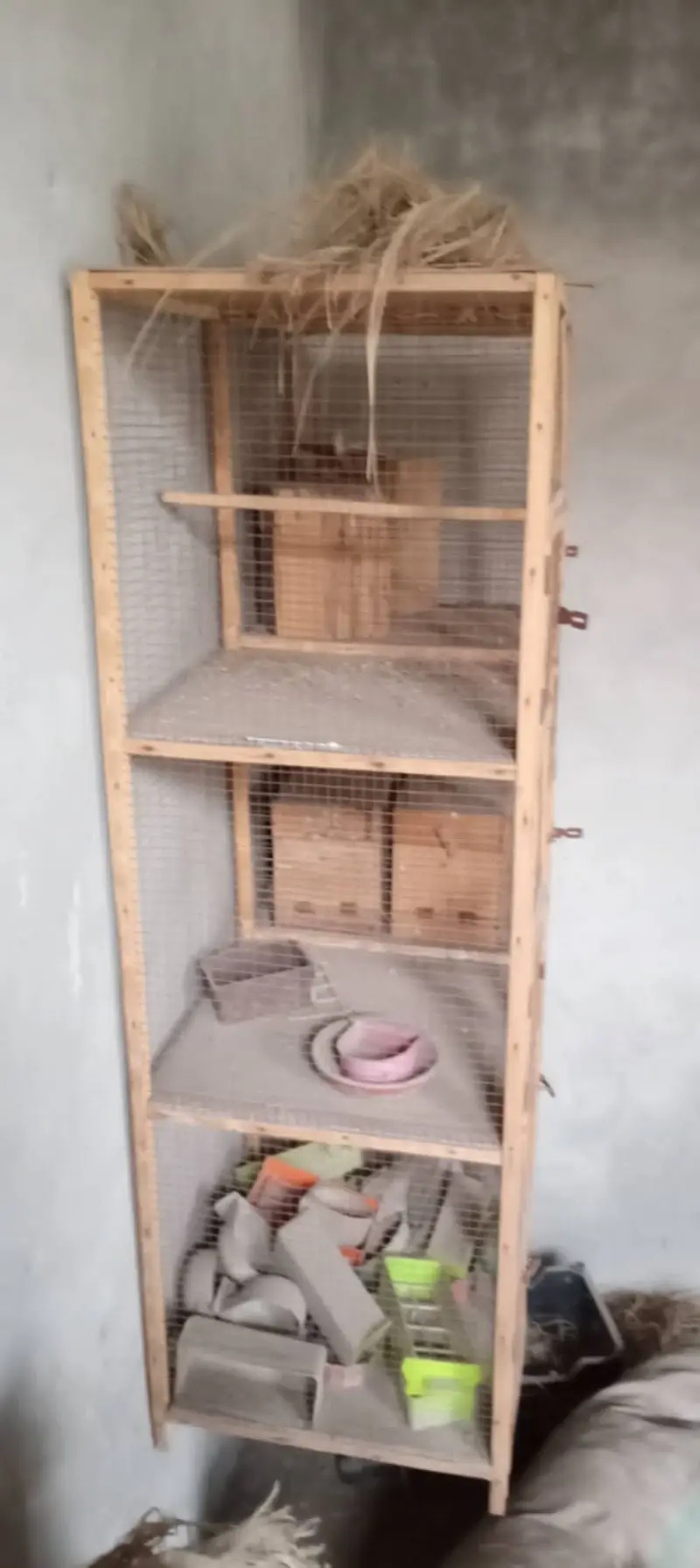 6 Portion wooden cage - 10 Breeding Boxes — photo 3