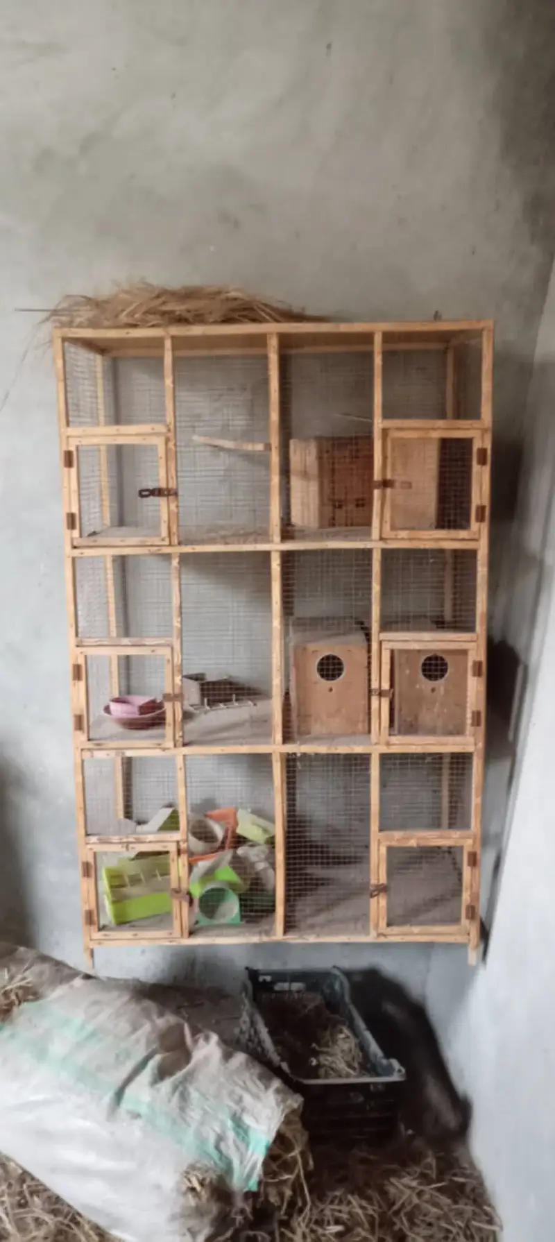 6 Portion wooden cage - 10 Breeding Boxes — photo 4