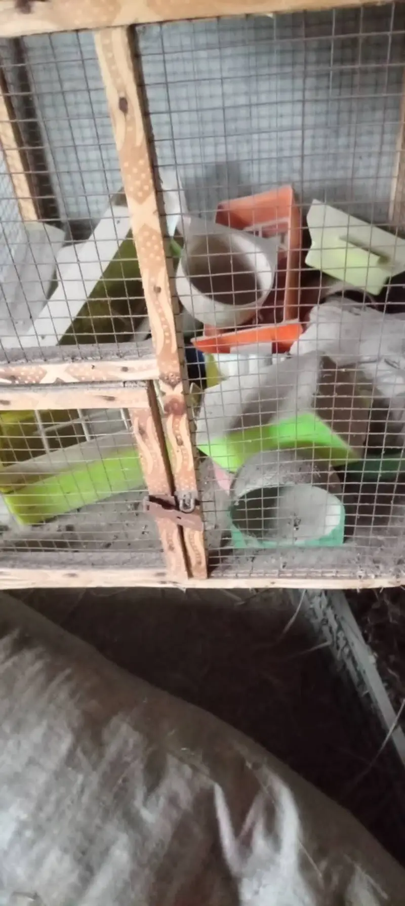 6 Portion wooden cage - 10 Breeding Boxes — photo 5