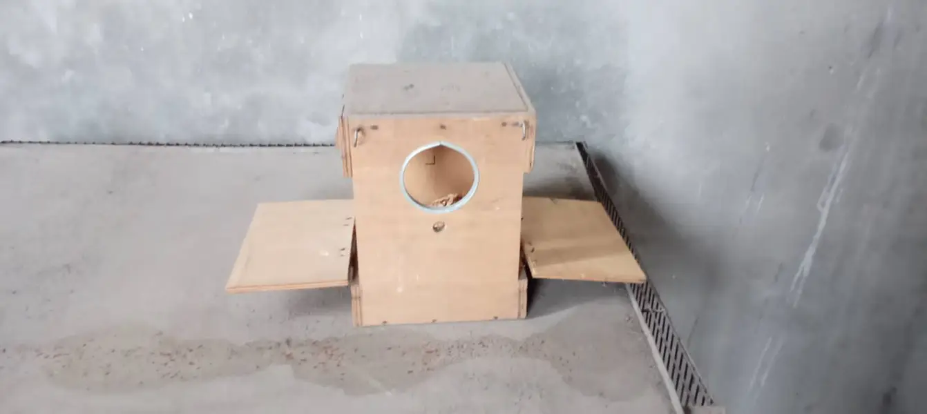 6 Portion wooden cage - 10 Breeding Boxes — photo 7