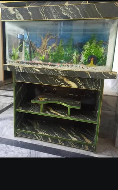 Aquarium