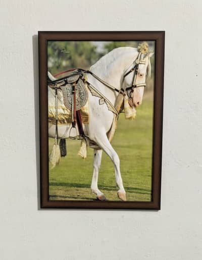 Premium Quality Horse Portrait Frames