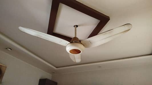 6 celling fans for sell