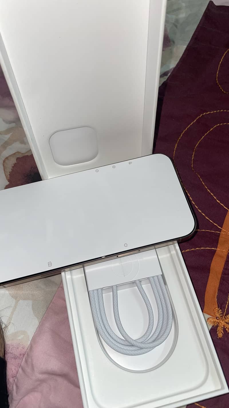 Apple iPhone 16 Pro Max 1