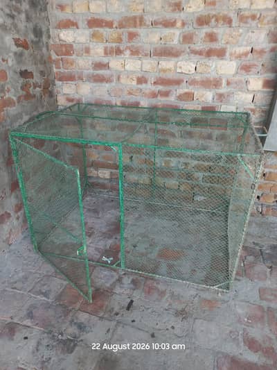iron cage
