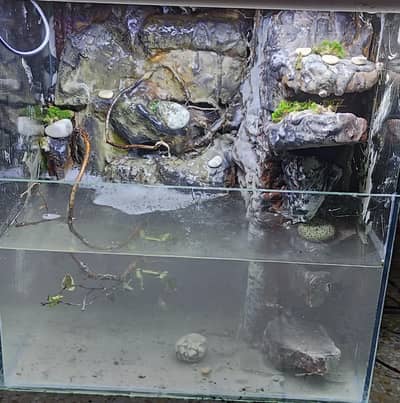 aquarium plaudarium