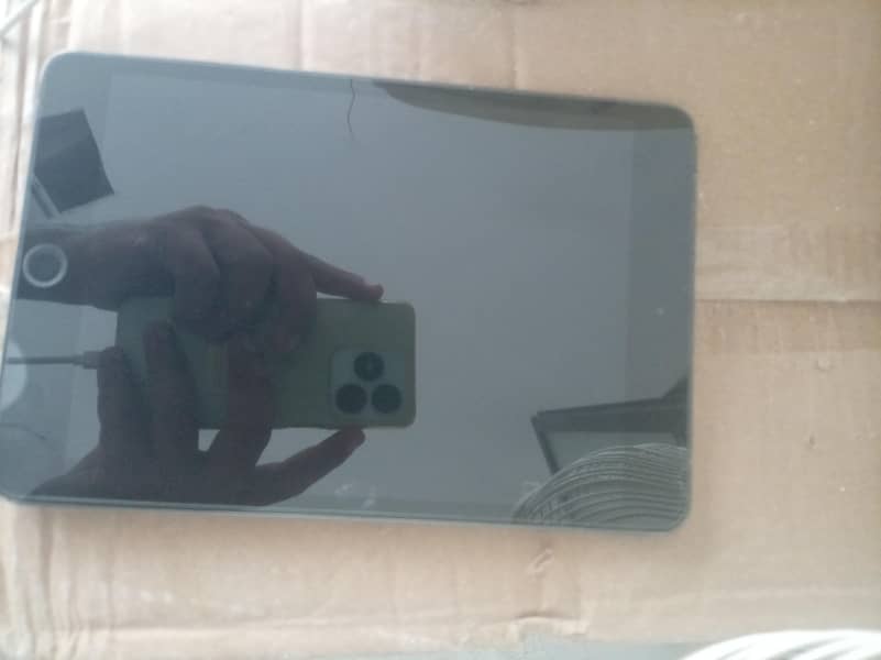 ipad mini 5 0