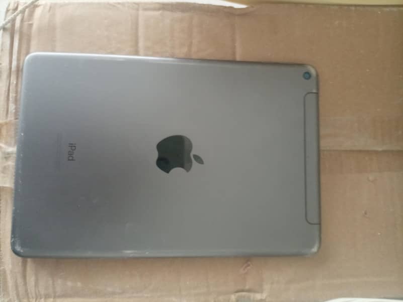 ipad mini 5 1