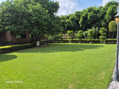 CHAK SHAHZAD FARM HOUSE POLT (22) KANAL FOR SALE