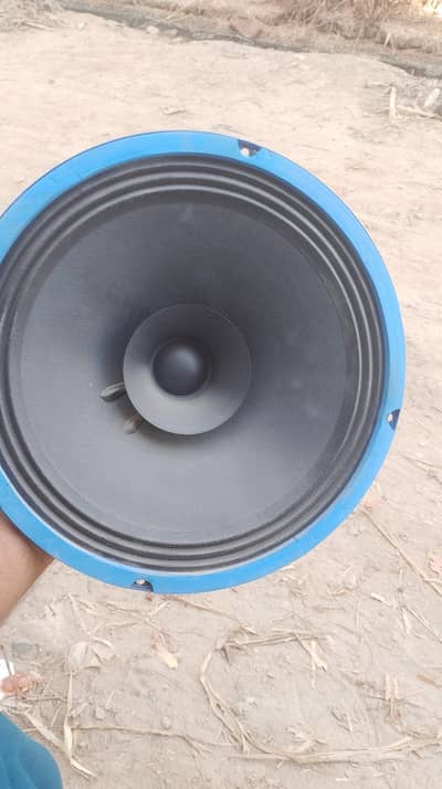 Q S 10"inch original speakers 10/10