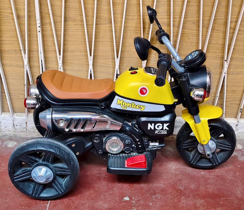 02 --- Electric Bikes 6