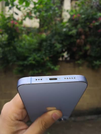 Apple iPhone 14