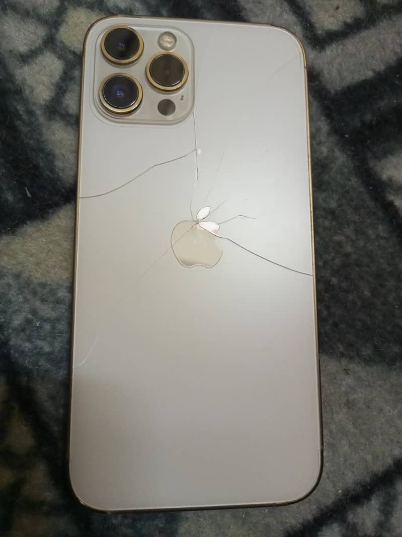 Apple iPhone 12 Pro Max 0