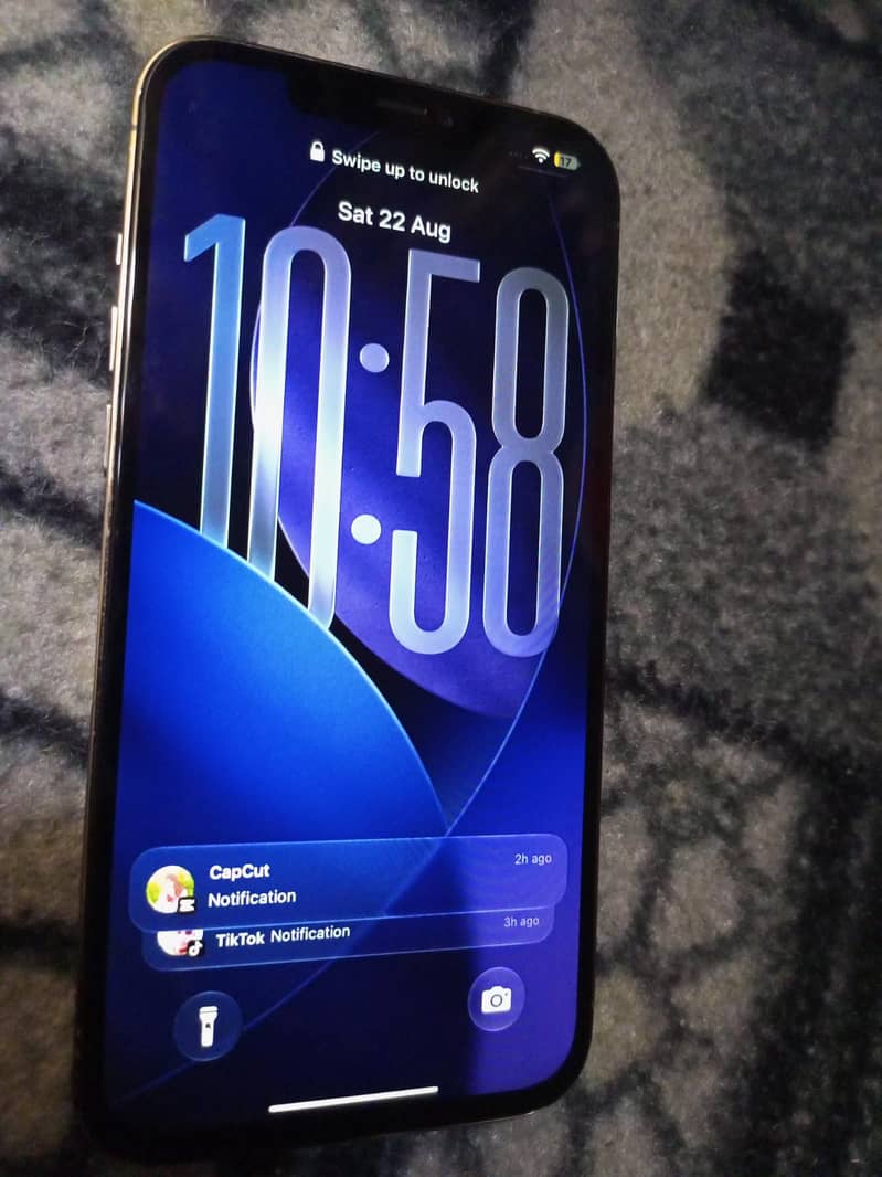 Apple iPhone 12 Pro Max 1