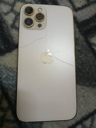 Apple iPhone 12 Pro Max